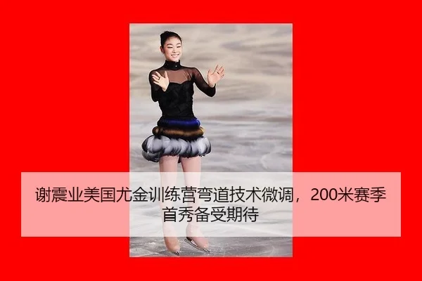 xie-zhen-ye-mei-guo-you-jin-xun-lian-ying-wan-dao-ji-shu-wei-diao-mi-sai-ji-shou-xiu-bei-shou-qi-dai-2-354.jpg