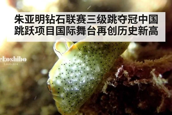 朱亚明钻石联赛三级跳夺冠中国跳跃项目国际舞台再创历史新高
