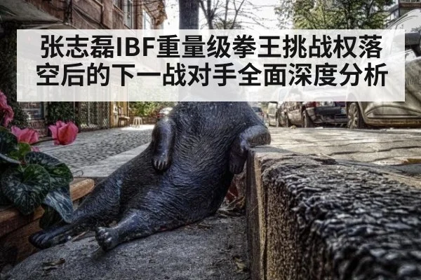 张志磊IBF重量级拳王挑战权落空后的下一战对手全面深度分析
